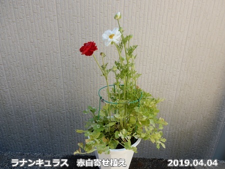 e0033229_16211897.jpg