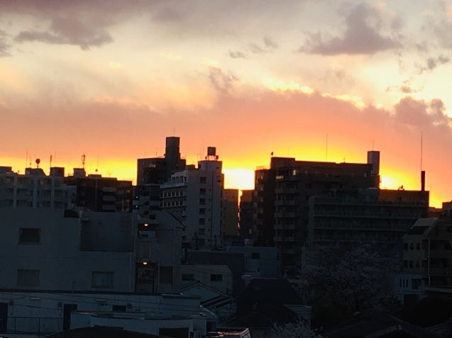c0221732_15434615.jpeg