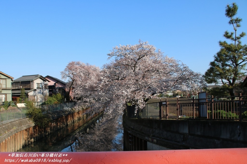 e0052135_17170137.jpg