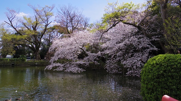 c0051938_12012086.jpg