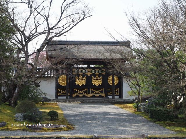 醍醐寺三宝院の桜咲き始めと台風被害＠京都の春２０１９_f0295238_12202531.jpg