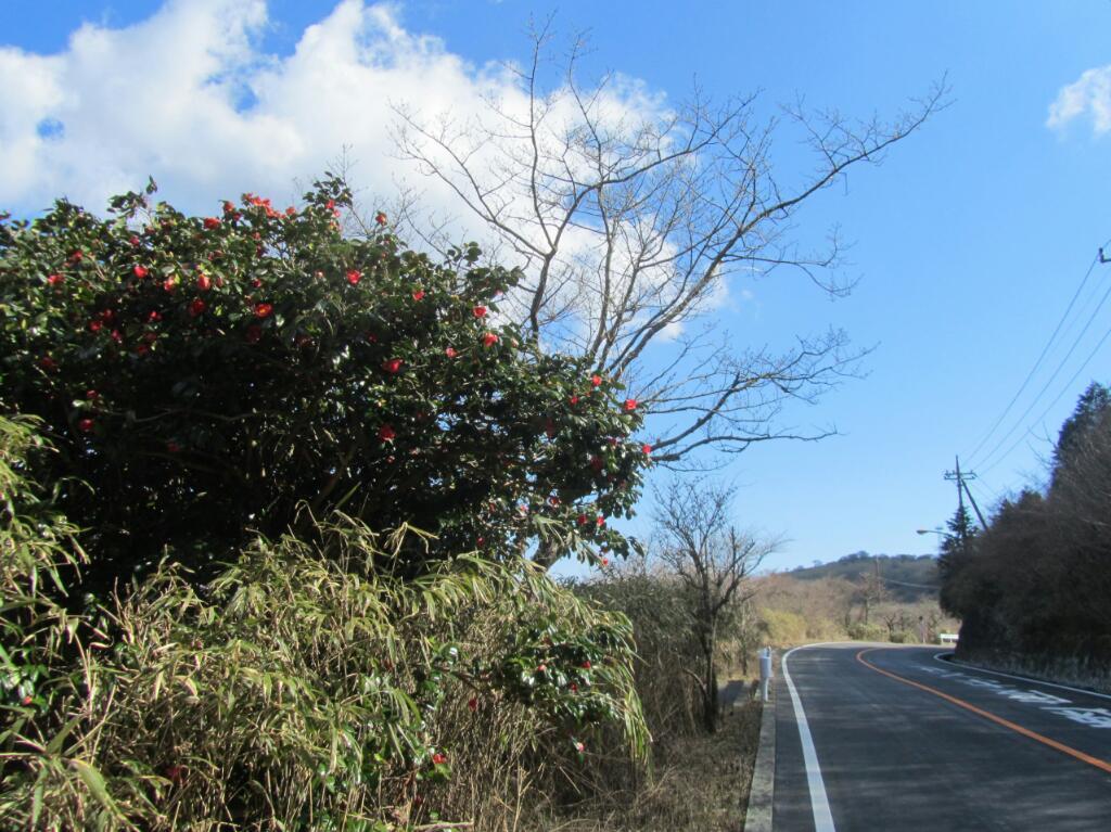 画素情報