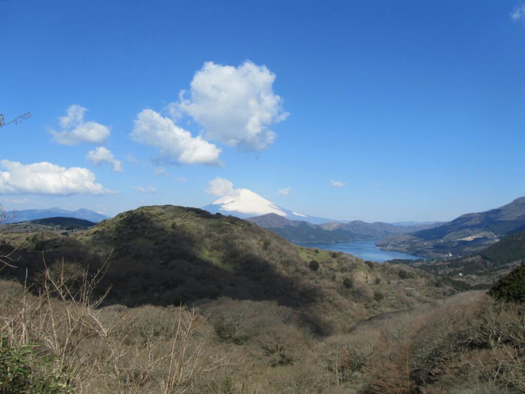 画素情報