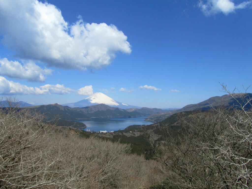 画素情報