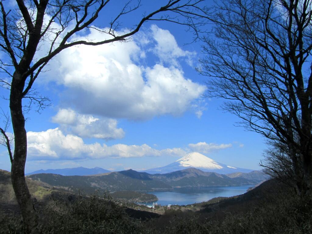 画素情報