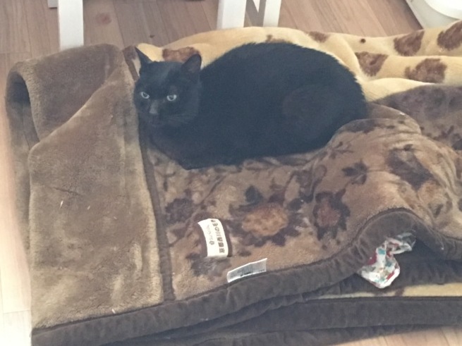 f0370142_00100527.jpeg