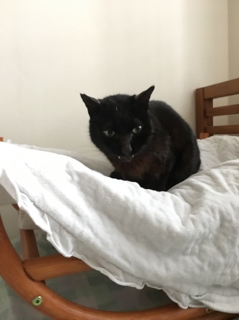 f0370142_00120479.jpeg