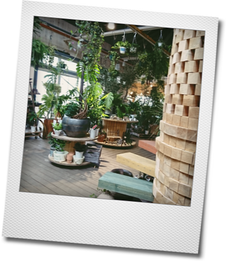d0155744_17090827.png