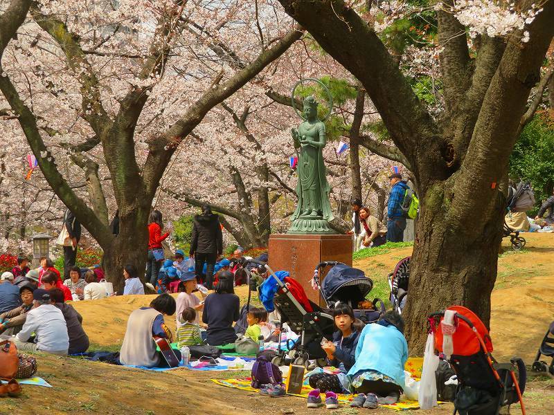 飛鳥山公園「満開の桜」（東京王子）20190328_e0237645_18465660.jpg