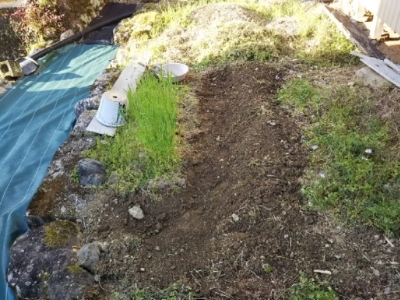 c0330749_18455729.jpg