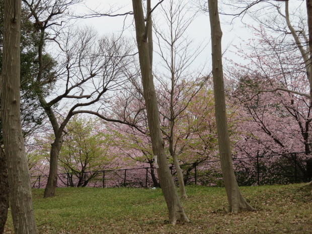 f0329849_21102037.jpg