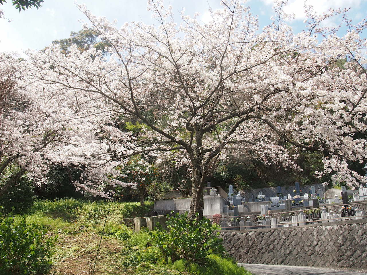 b0396150_12305491.jpg