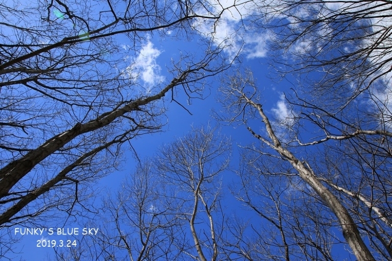 c0145250_08471011.jpg
