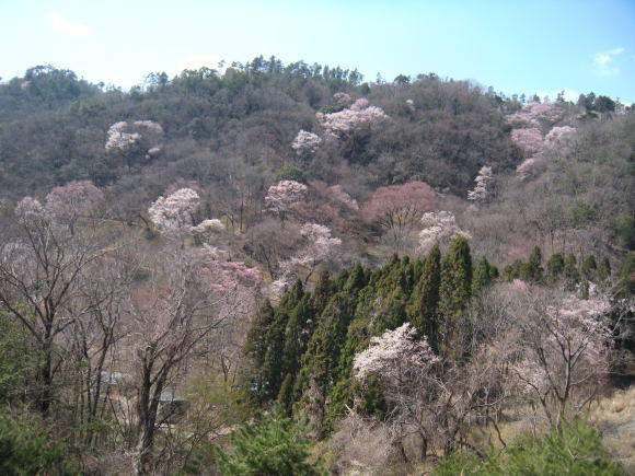 f0342250_23355082.jpg