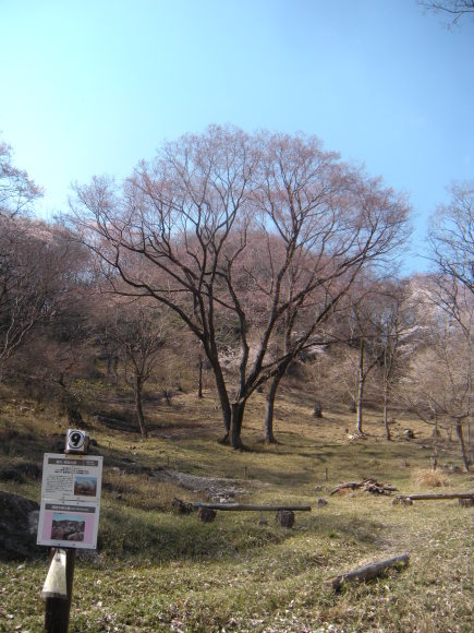 f0342250_23465023.jpg