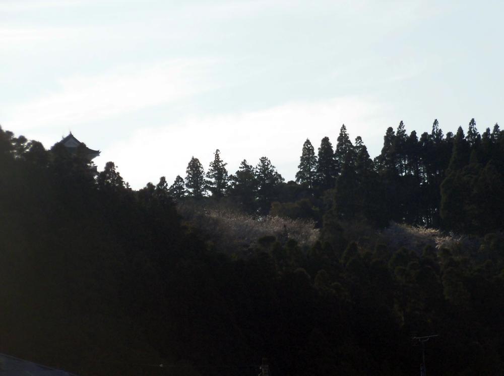 e0024554_23354879.jpg