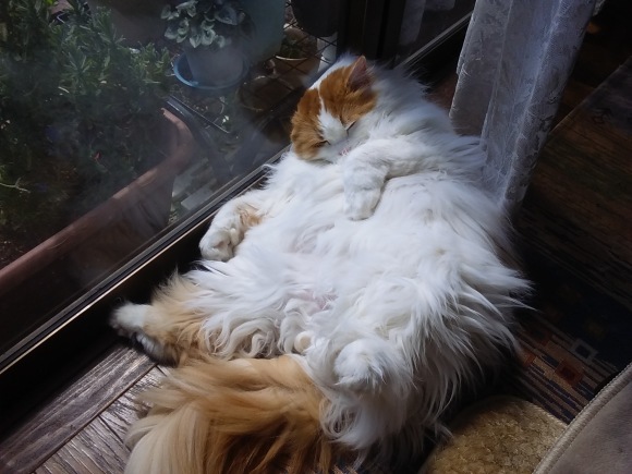 春なのに風は冷たく_d0116059_20141728.jpg