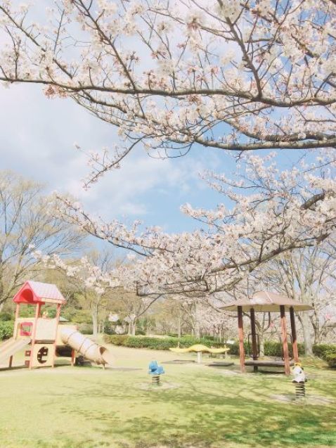 ✿✿さくら✿✿_d0166862_13531263.jpeg