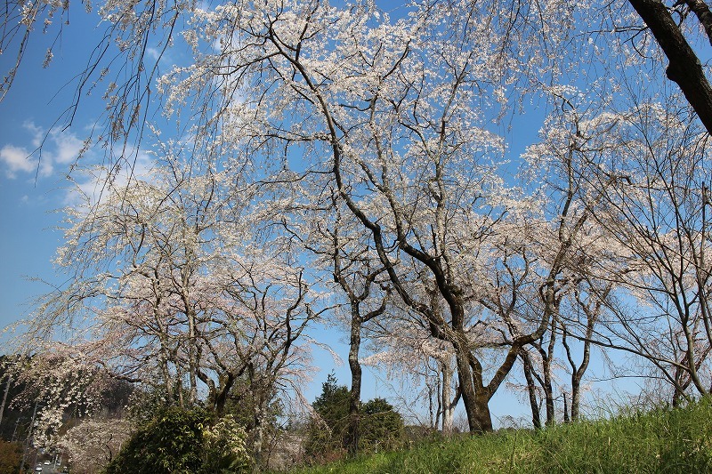 b0044663_21575646.jpg