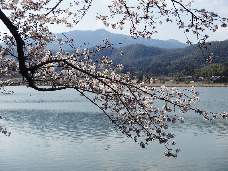 b0044663_22021112.jpg