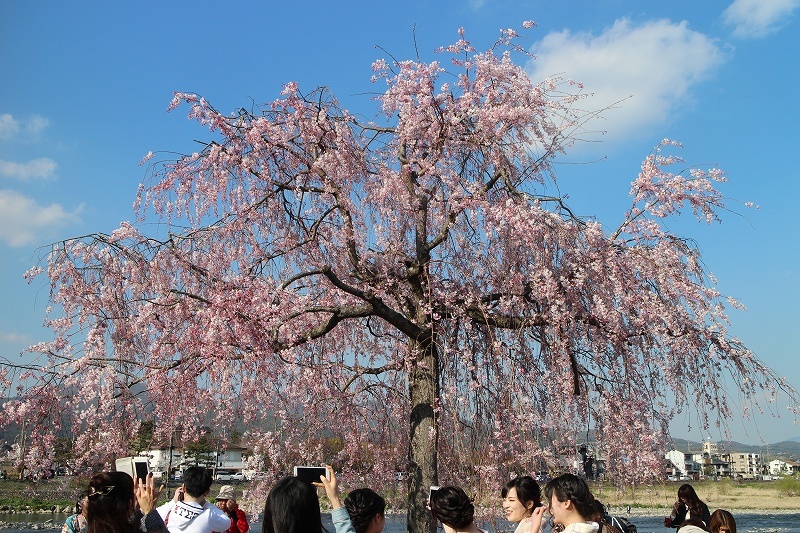 b0044663_22035144.jpg