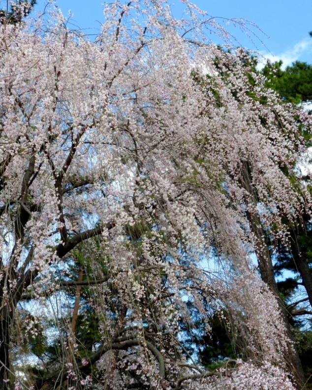 c0305565_17381573.jpg
