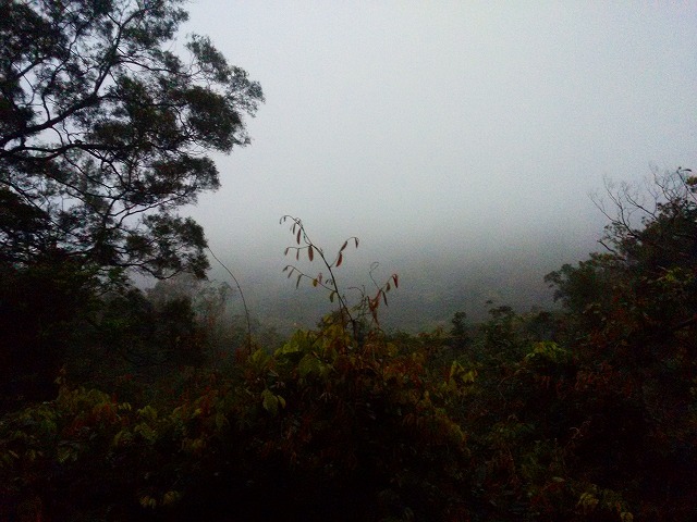 f0044065_08353826.jpg