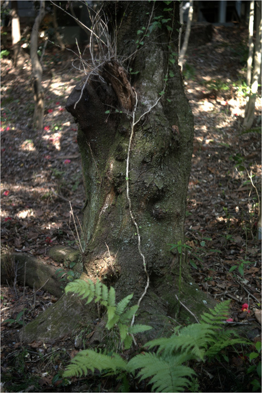 c0168172_21510654.jpg
