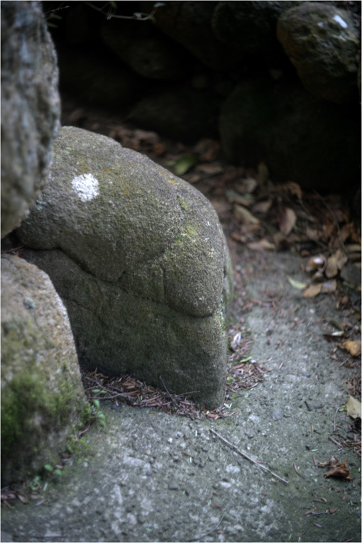 782.00 ホロゴン外傅259（2019年4月4日久しぶりライカM9が神社道森林浴に出かけた）_c0168172_21523430.jpg