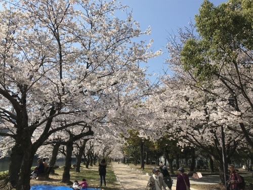 f0315081_22095034.jpeg
