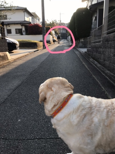 f0315081_22103964.jpeg