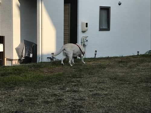 f0315081_22115699.jpeg