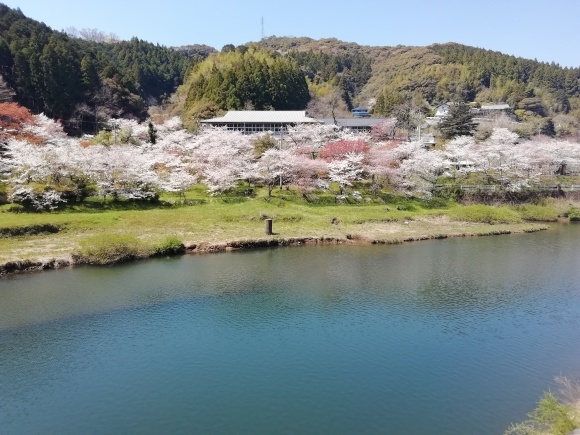 徳島池田　高知土佐山田平山　10日目_c0212083_20115095.jpg