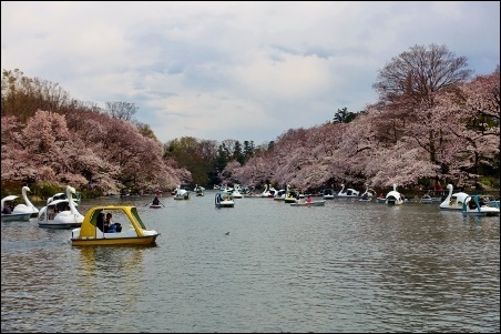 井の頭公園にて_a0133484_13094799.jpg