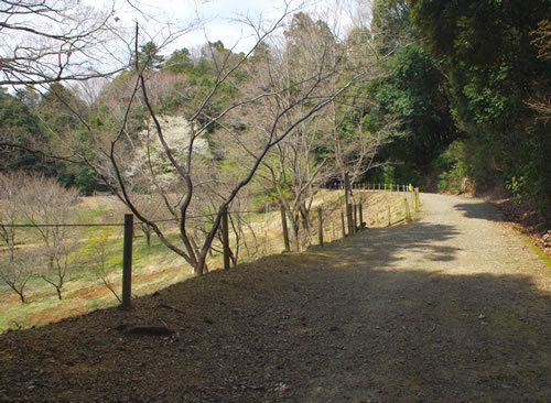 b0123486_09412061.jpg