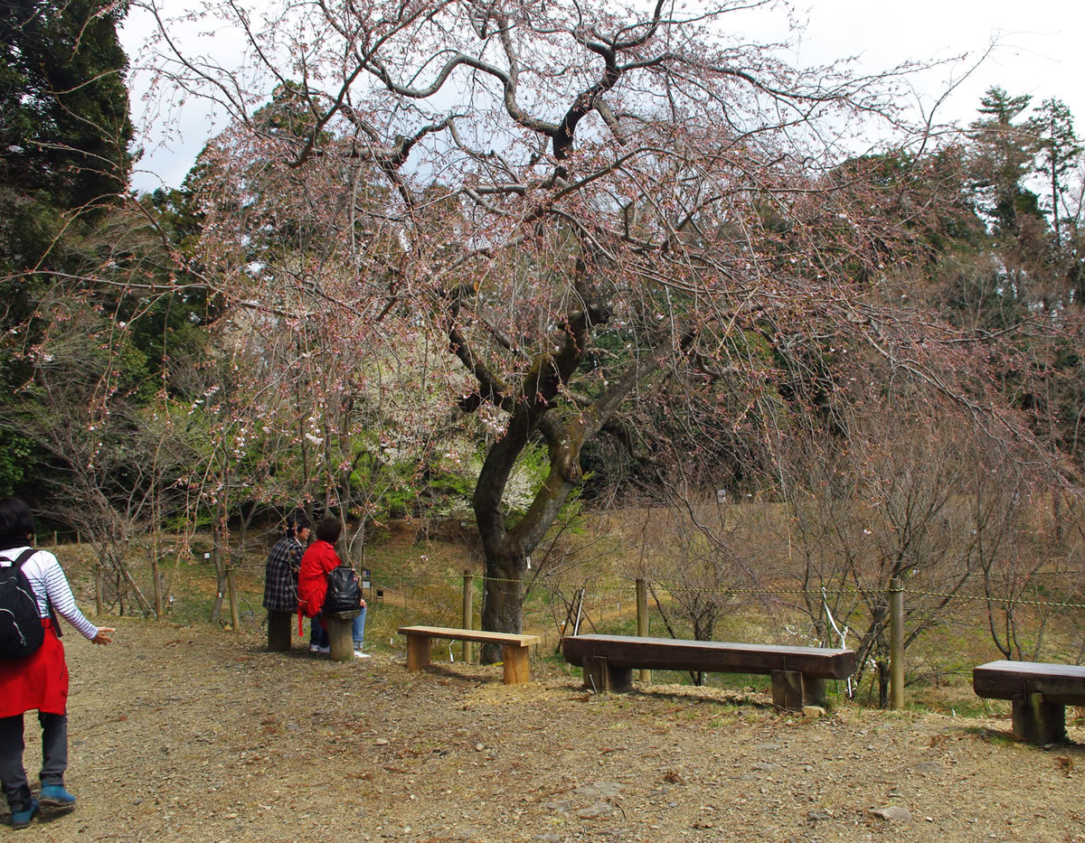 b0123486_17375909.jpg