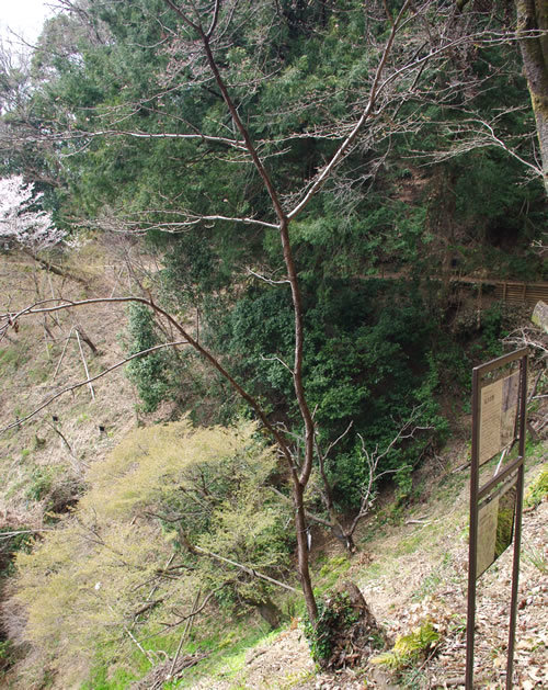 b0123486_19163676.jpg