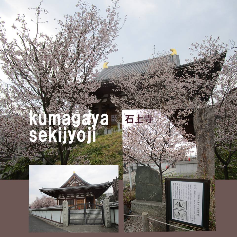 熊谷市の一場面ー_e0409288_20180232.jpg