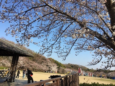 f0372998_19334534.jpg