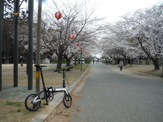 K3でホームセンターからの酒津公園_c0132901_21100002.jpg