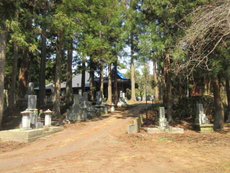 a0203003_18132237.jpg