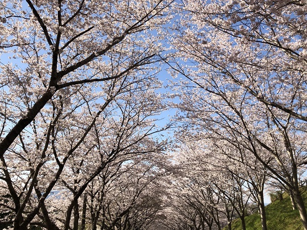 f0364707_09282948.jpg