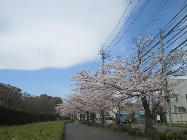 b0183111_15584181.jpg