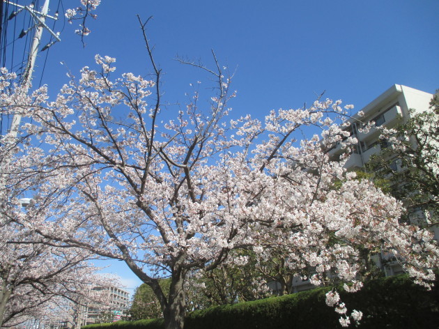 b0183111_16254308.jpg