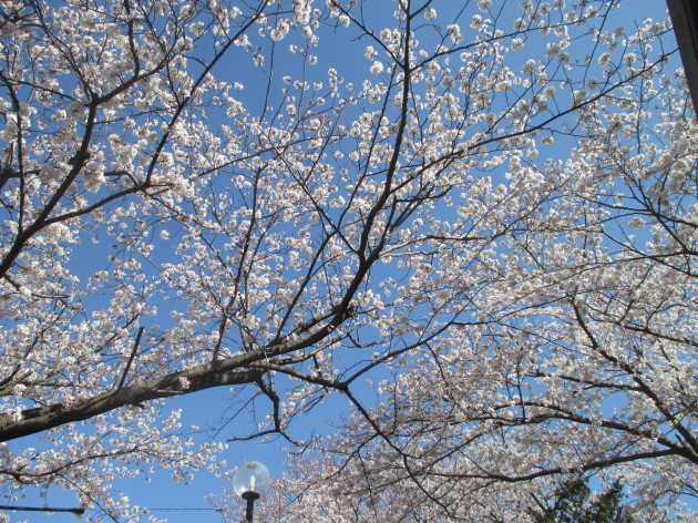 b0183111_16263720.jpg