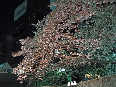 a0151913_3202693.jpg