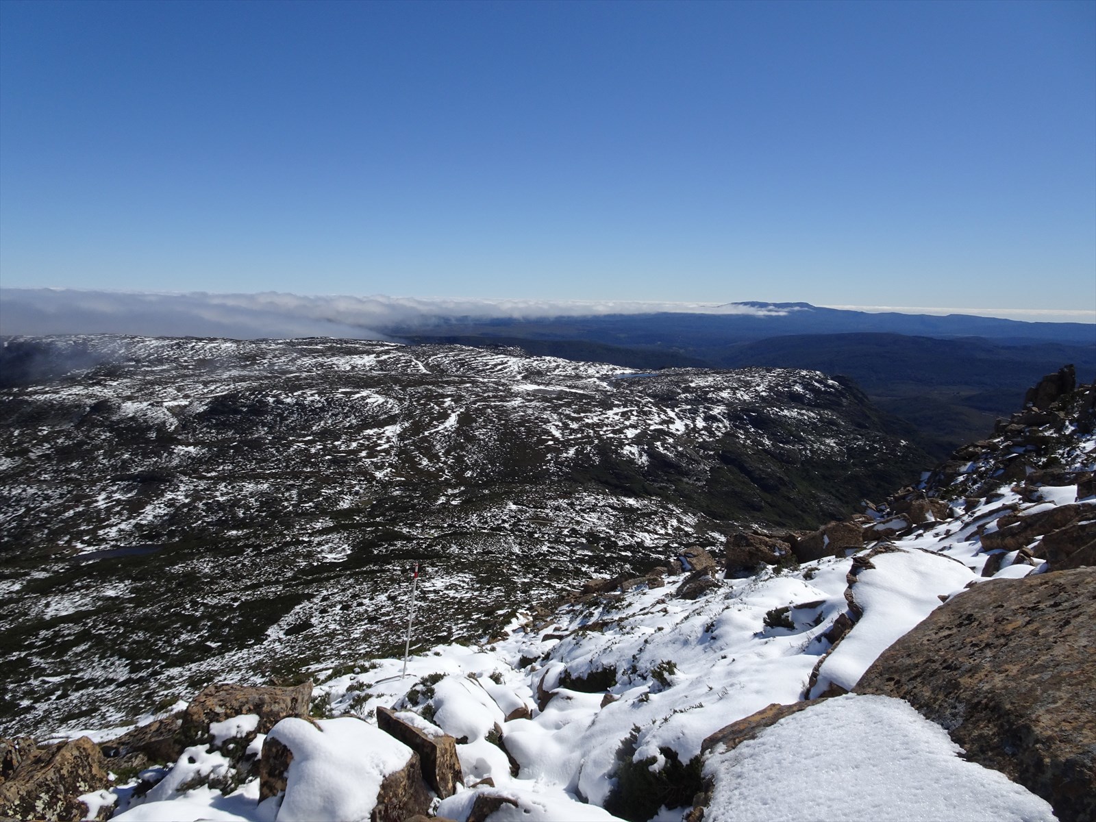 c0337813_16141640.jpg