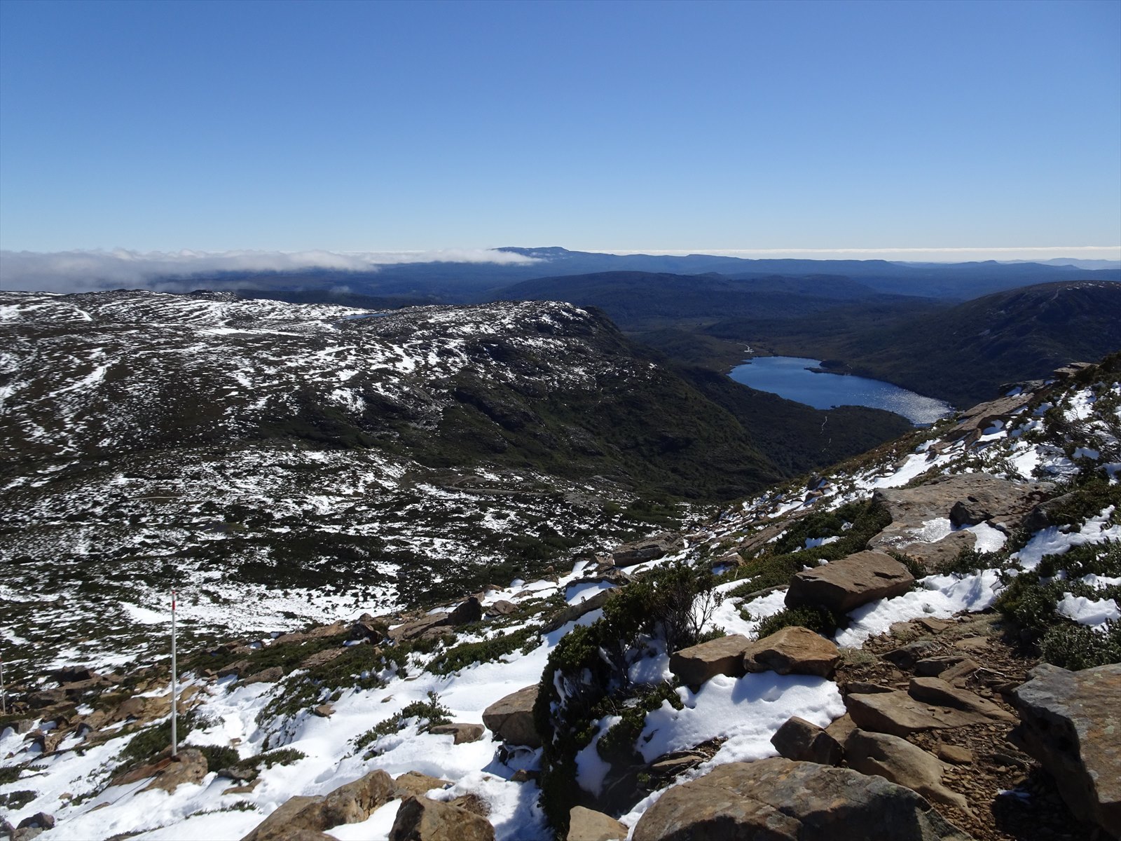 c0337813_16142264.jpg
