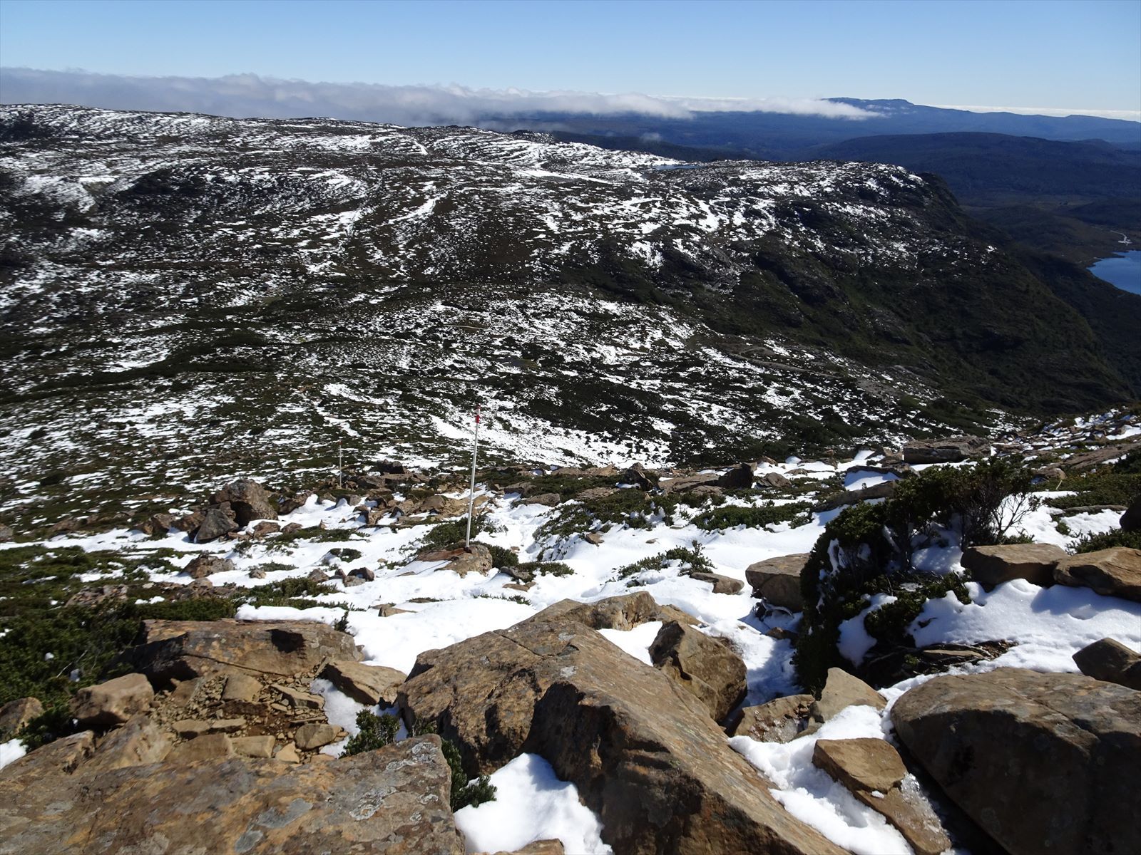 c0337813_16142575.jpg