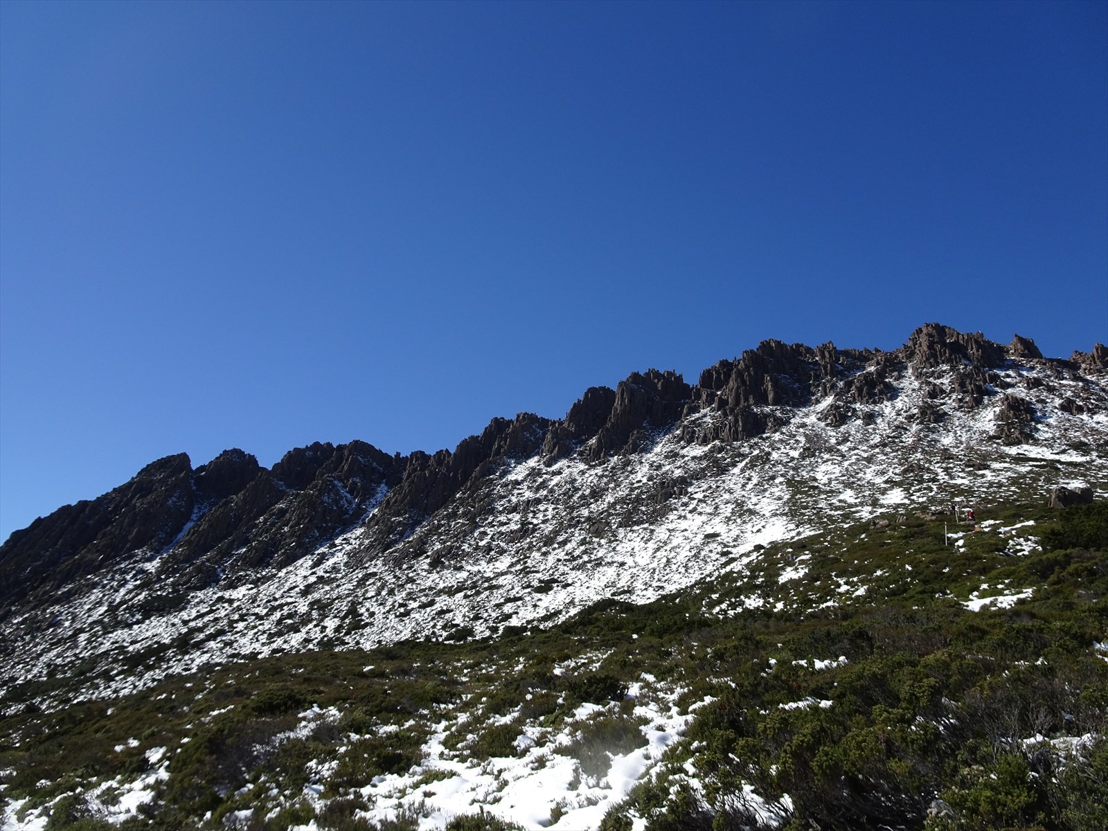 c0337813_16143501.jpg